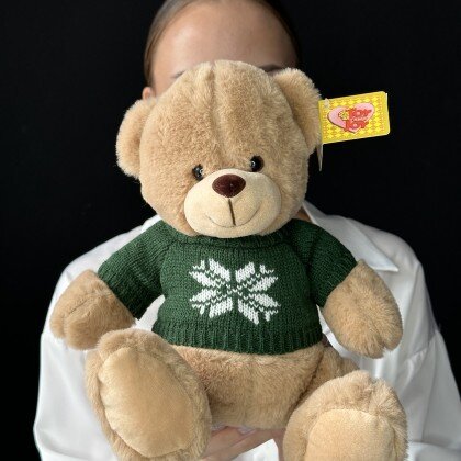 Мишка в зеленом свитере