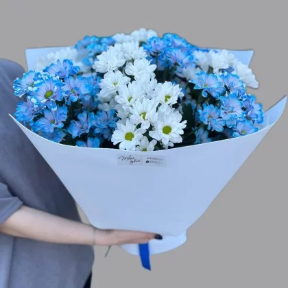 B0006