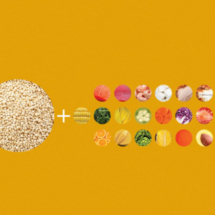 Конструктор поке с рисом