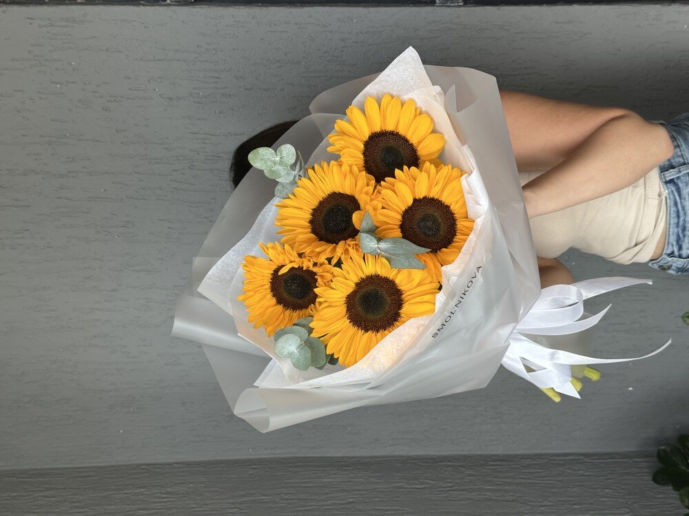 Солнечные подсолнухи 🌻